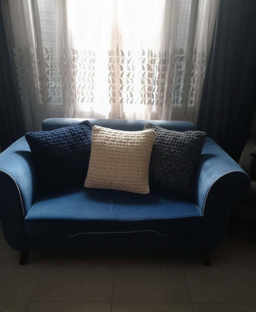 Velvet Cushion - Image 2